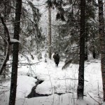 Творчество прихожан Солигалич, приход, церковь